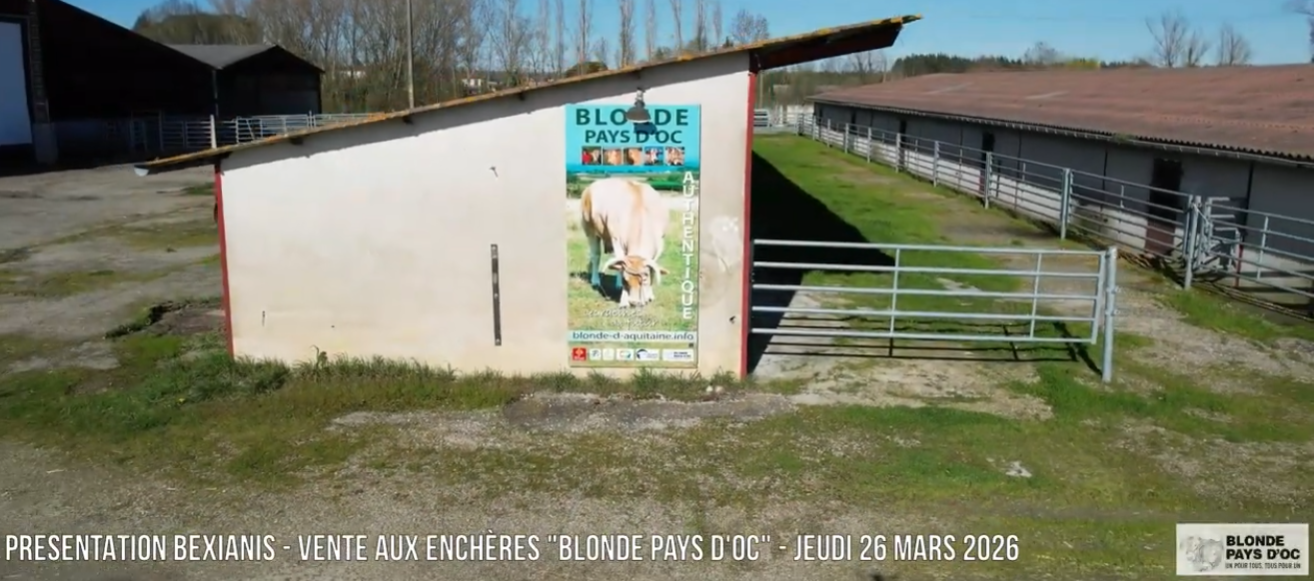 Image vidéo présentation Bexianis vente